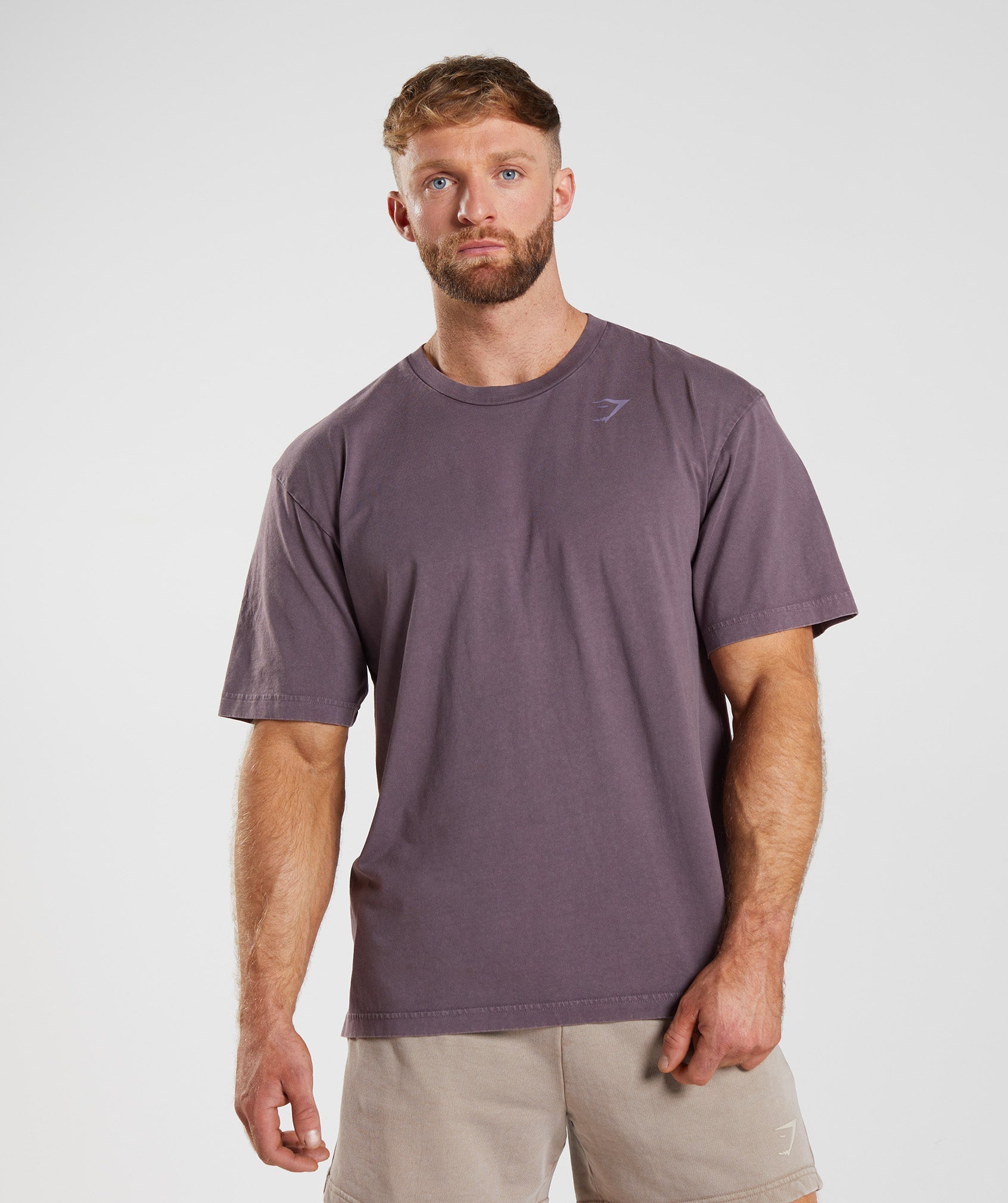 GYMSHARK Gymshark Soft-Washed Relaxed Fit Tee - Breathable Comfort in Dusty Lilac
